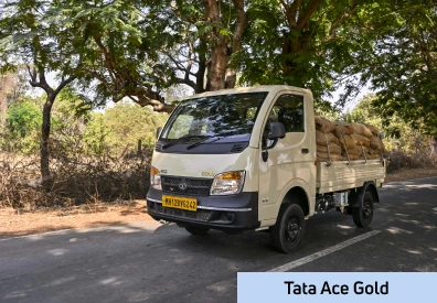 Tata Ace Gold